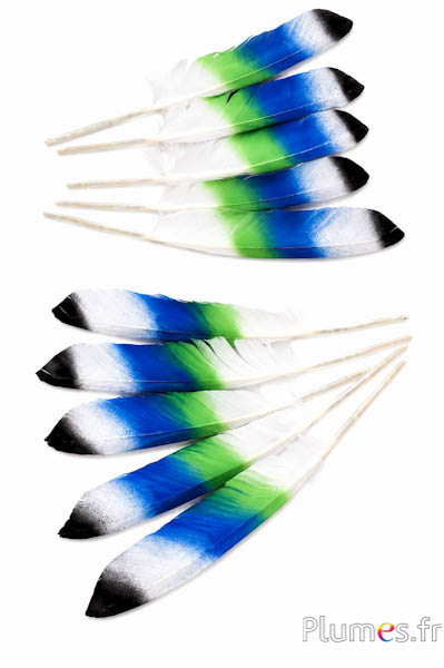 Gans - 24-28 cm - wit-groen-blauw-zwart